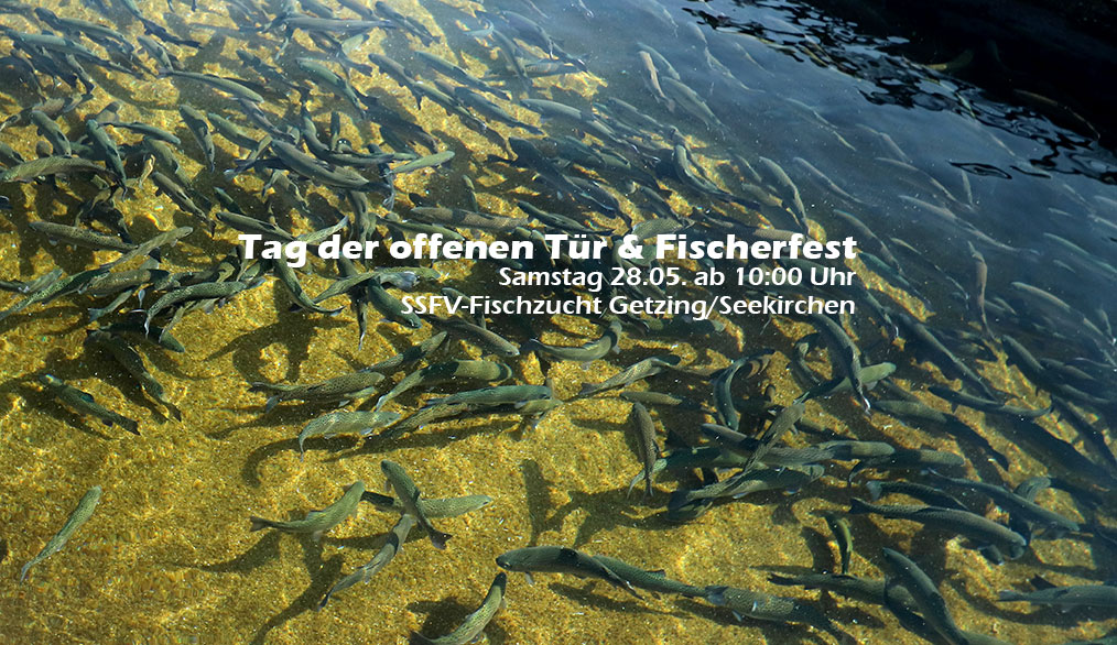 tag