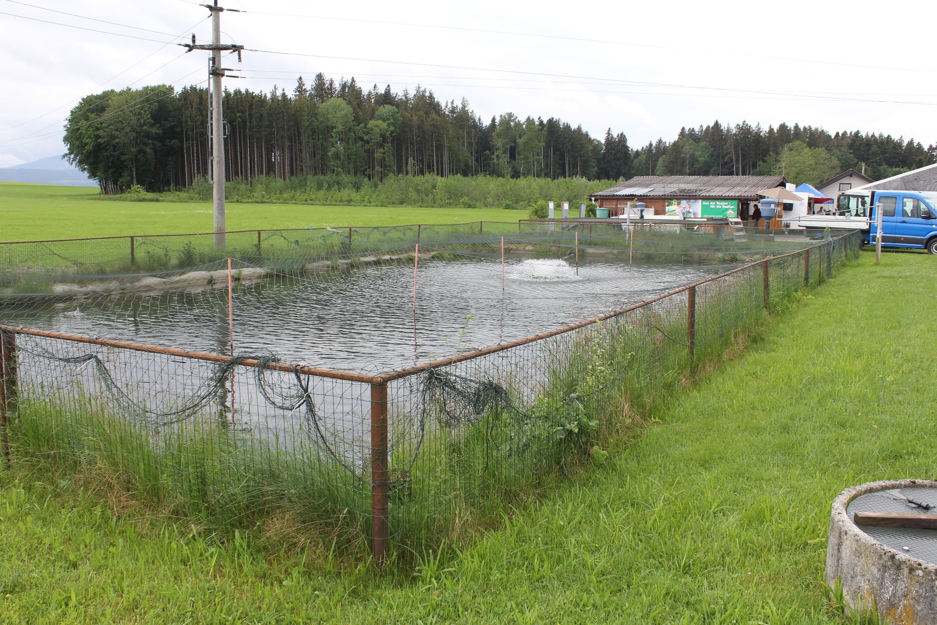 Eingezäunter Aufzuchtteich der Fischzucht Seekirchen mit Belüftung