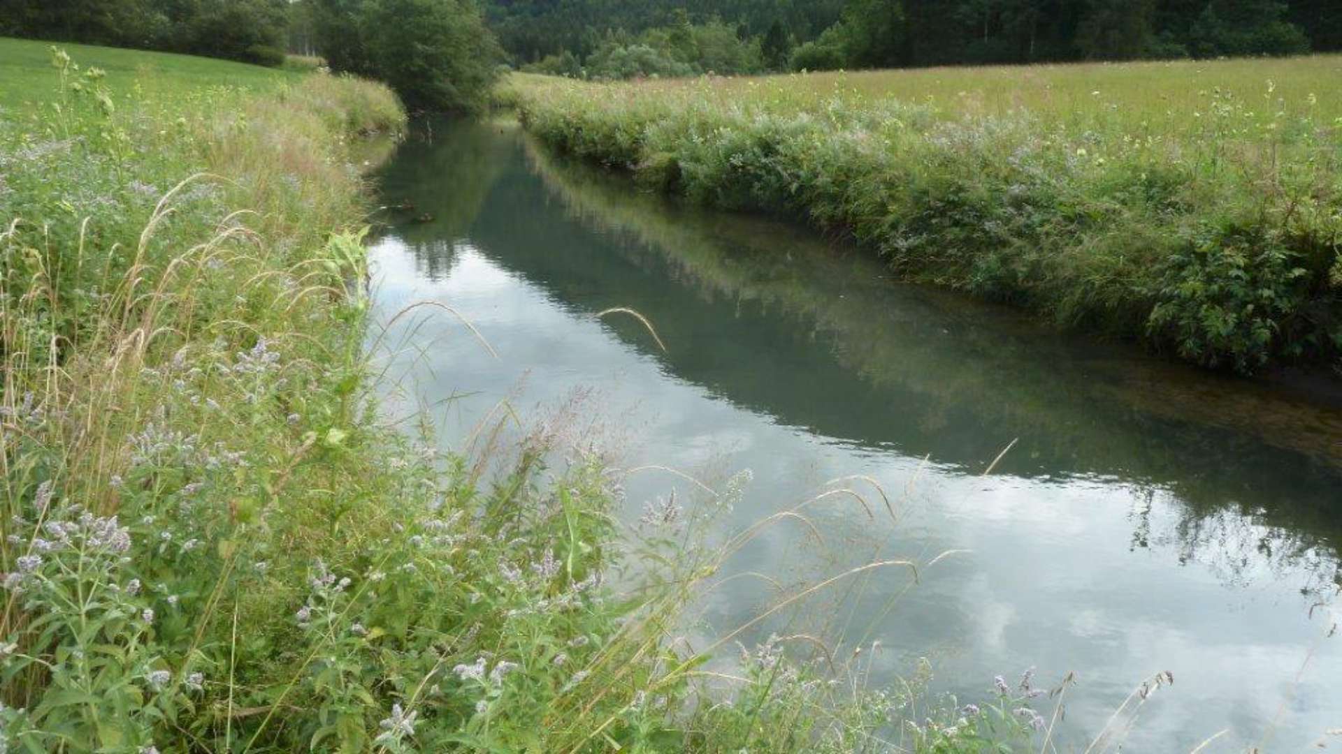 Brunnbach – Tiefbrunnau/Faistenau – Gewässeraufnahme