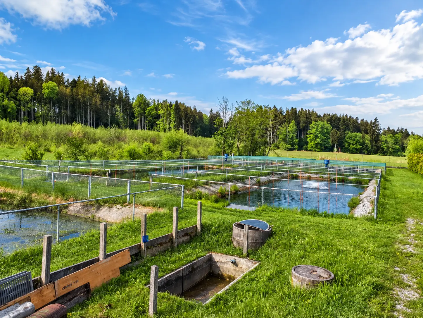 Außenanlage der Fischzucht Seekirchen mit Becken