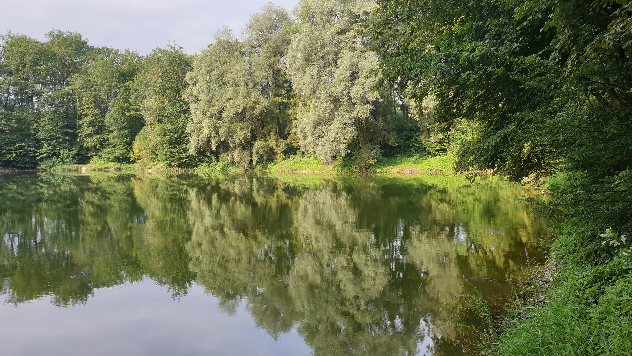 Lebererteich – Gewässeraufnahme
