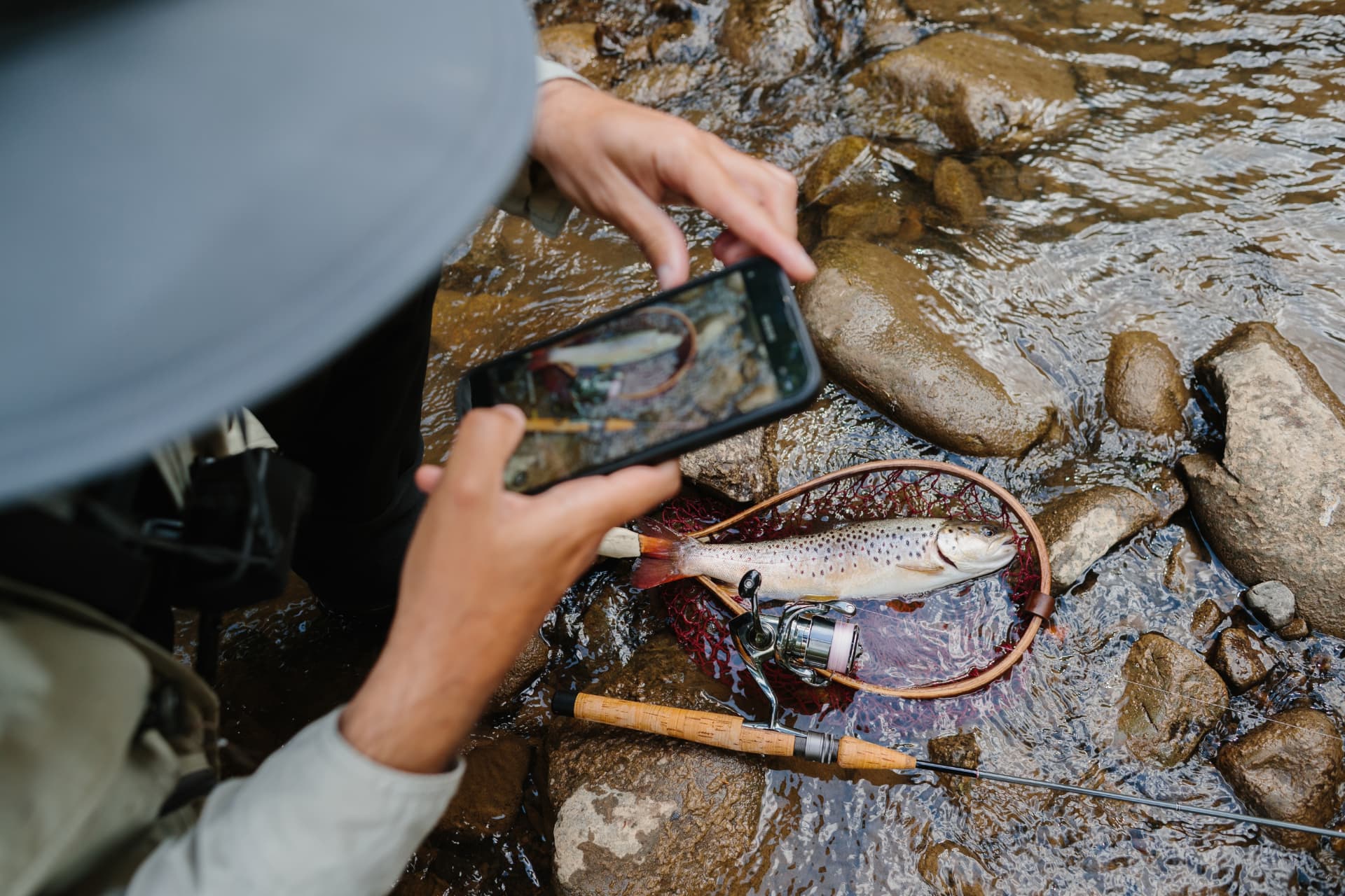 Angler fotografiert eine Bachforelle im Kescher mit dem Smartphone