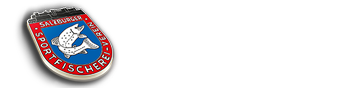 SSFV