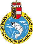 SSFV & LFV