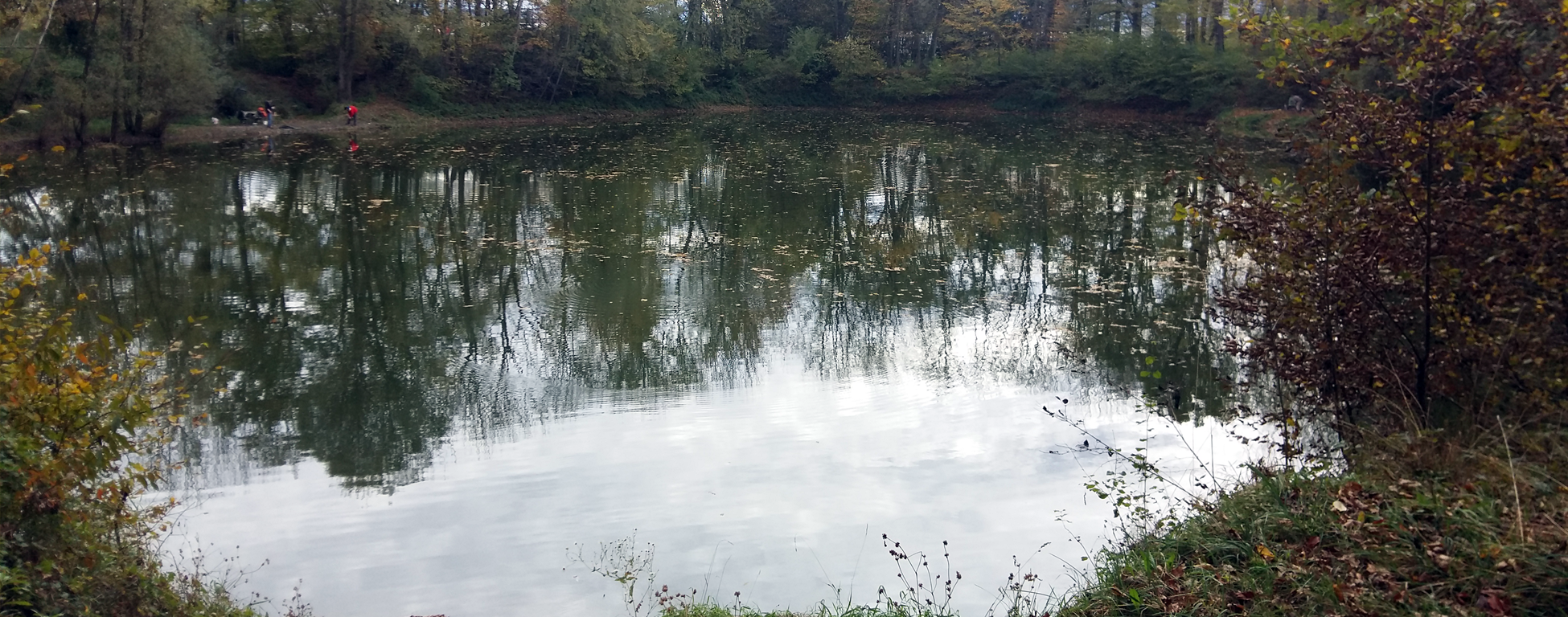 Lebererteich – kleiner idyllischer Teich