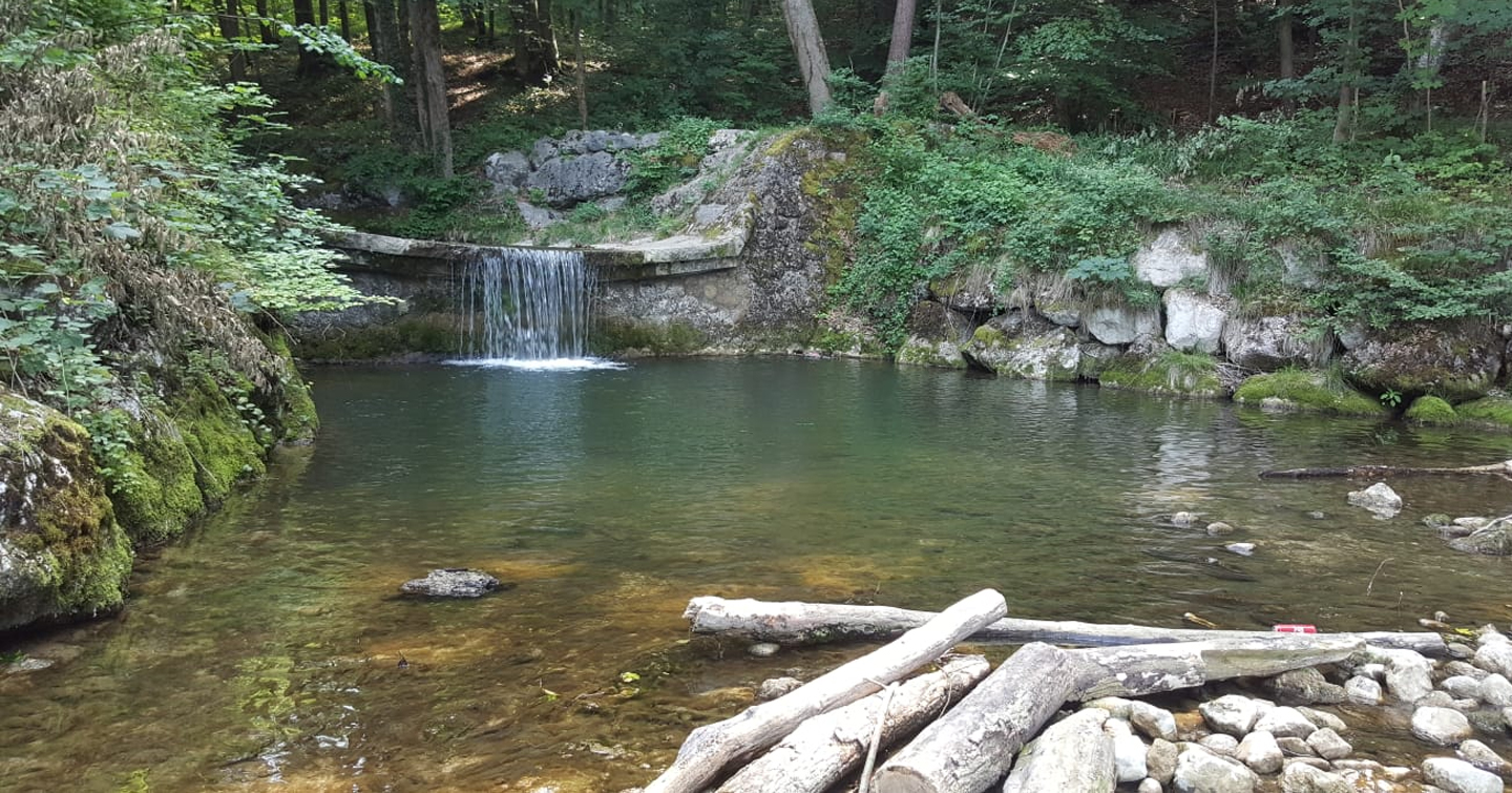 Alterbach