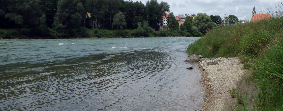 Salzach (Salzburg)