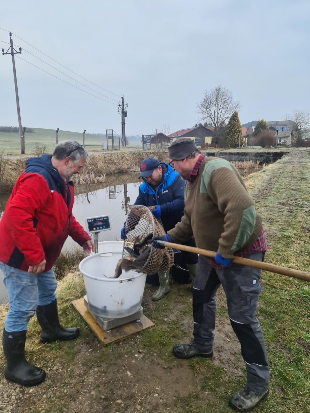 Fischzucht – Forellen