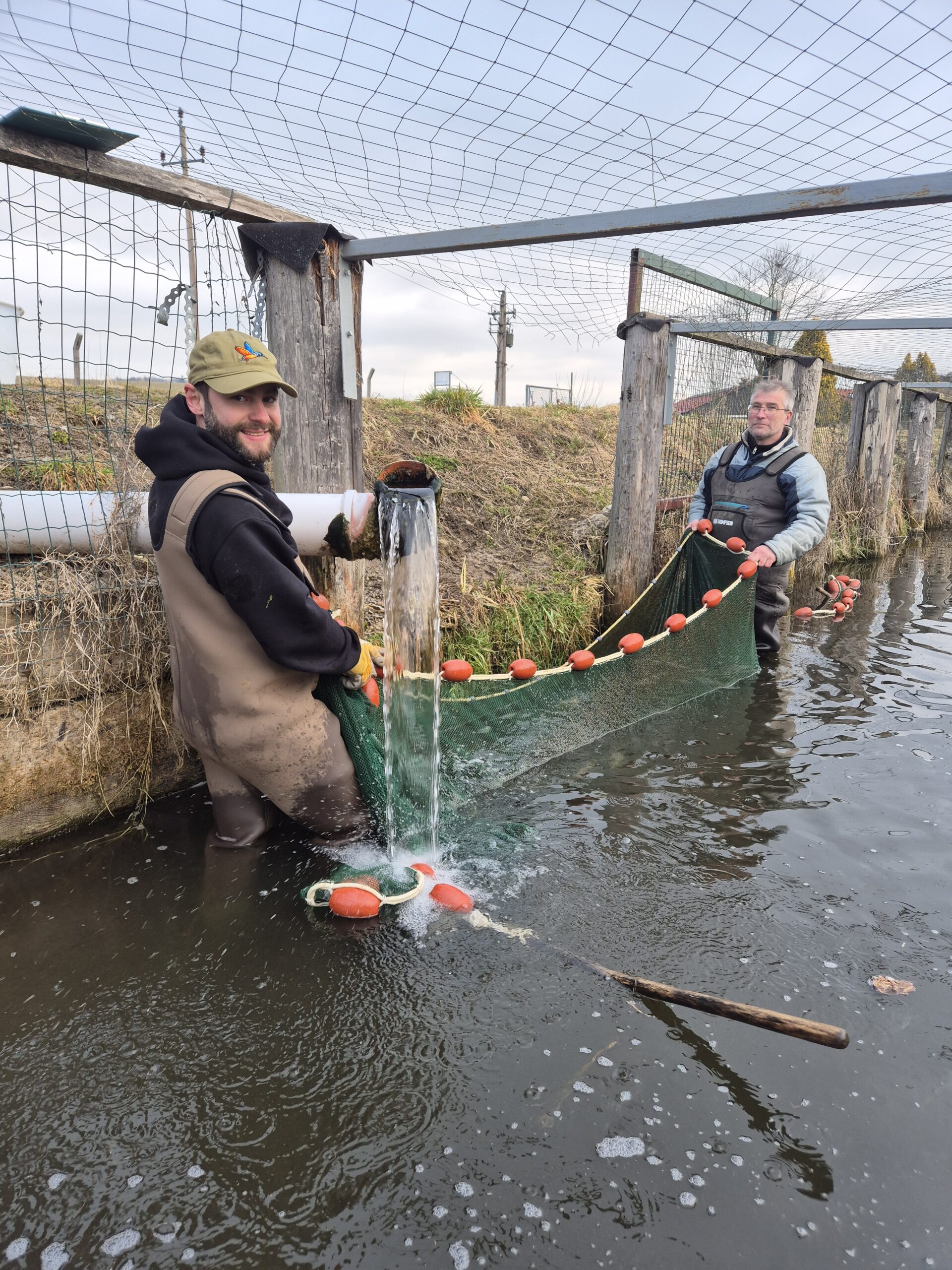 Fischzucht – Arbeitsschritt