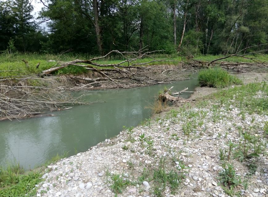 Reitbach – kleiner Seitenbach