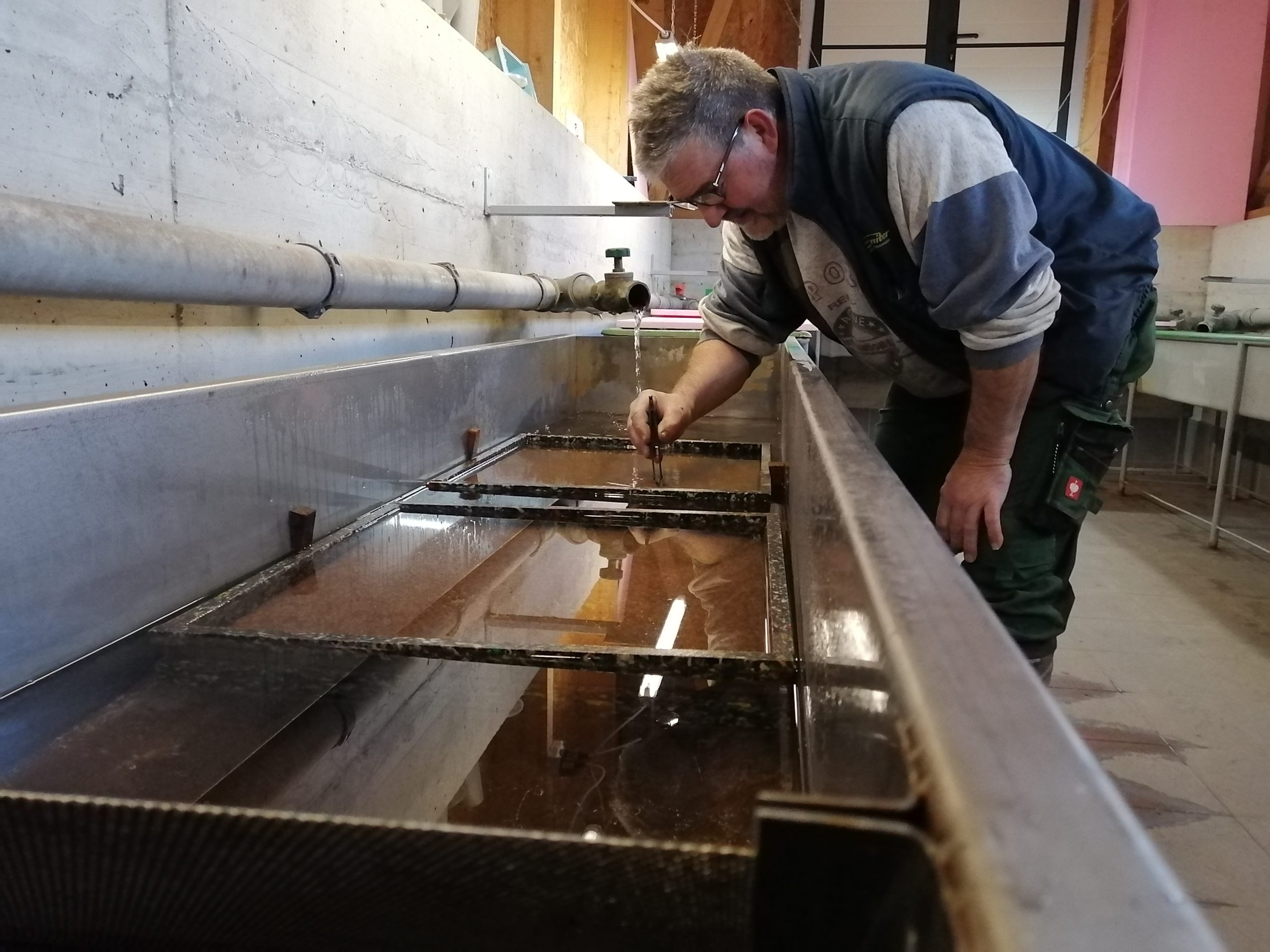 Quellwasser in der Anlage