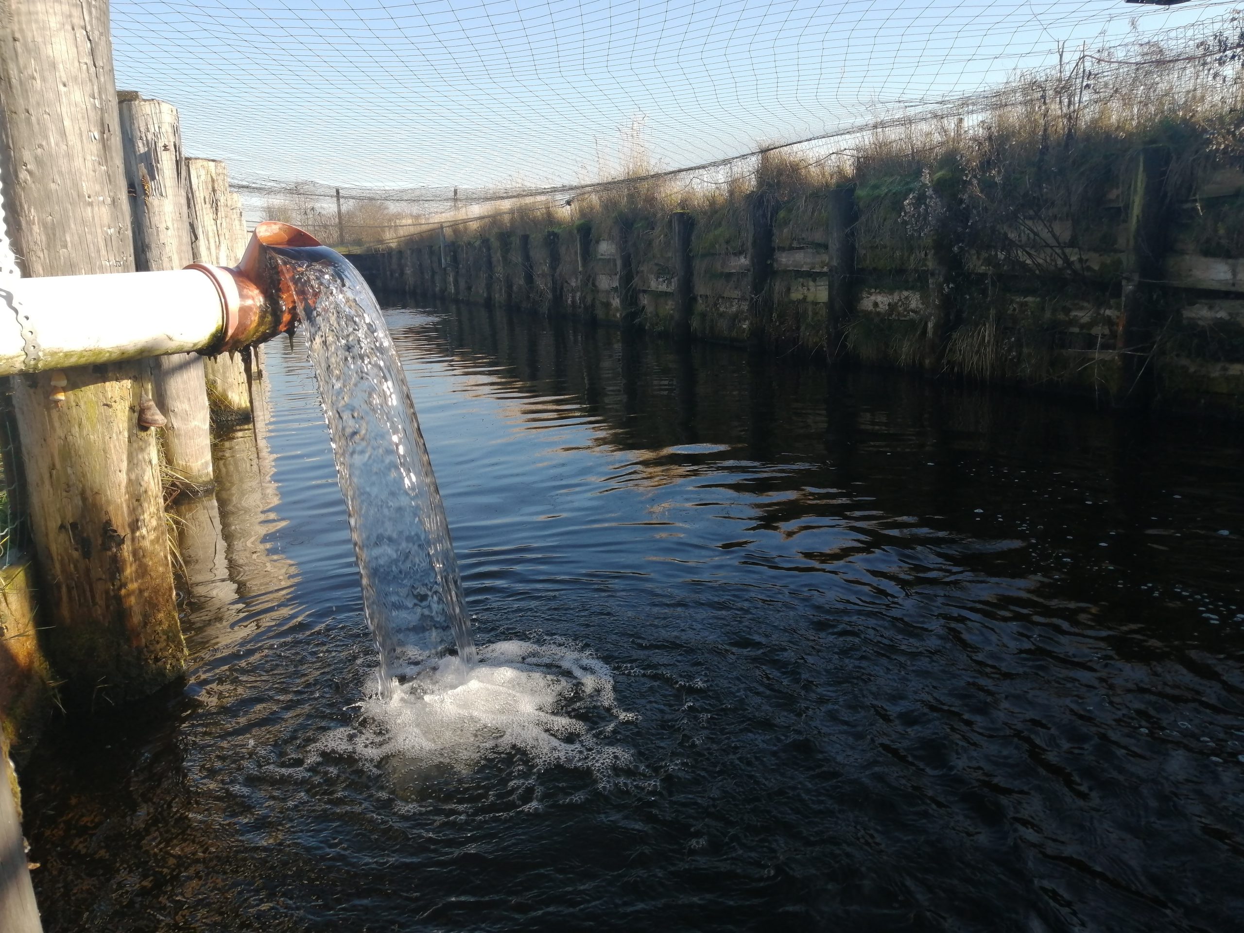 Reinstes Quellwasser