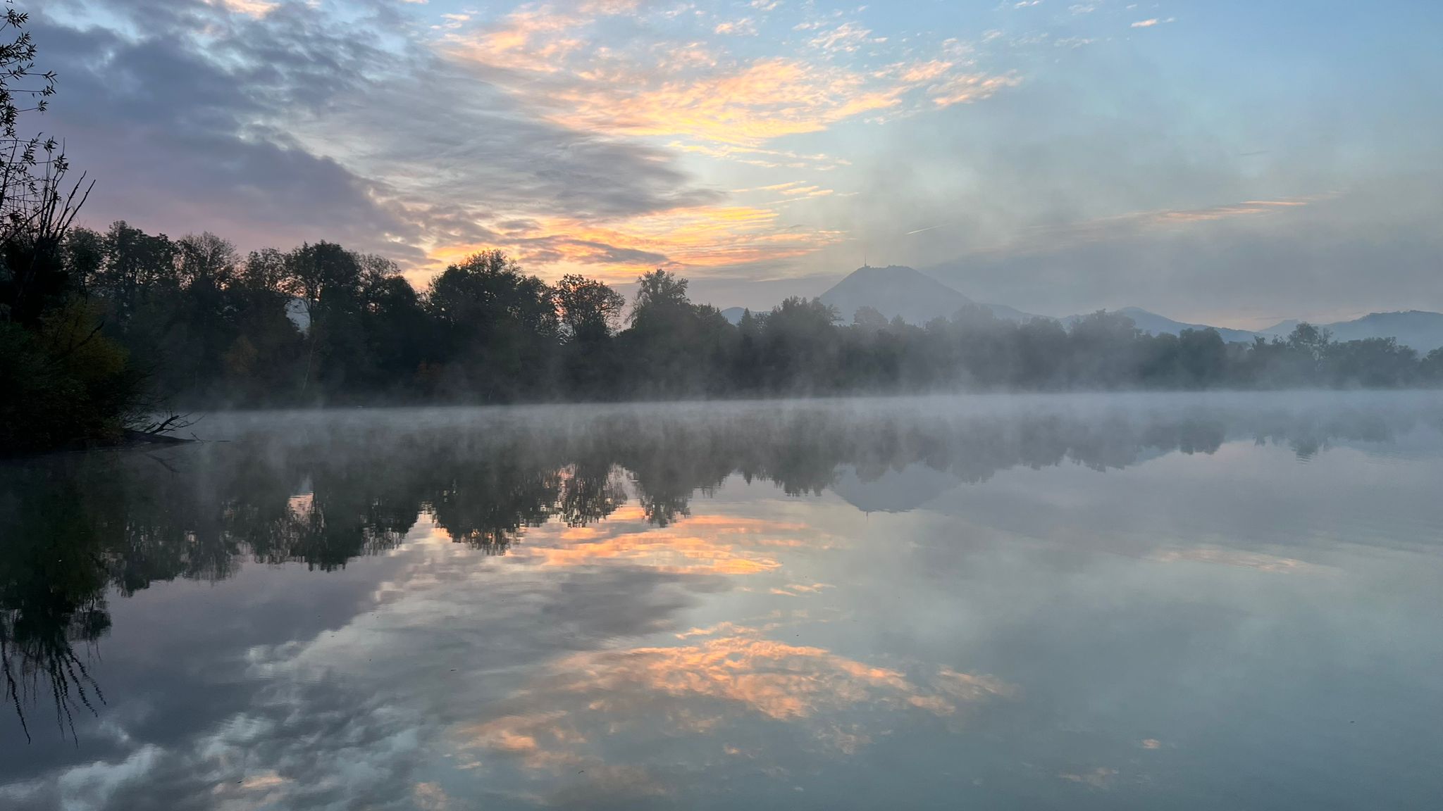 Schilfkante Salzachsee