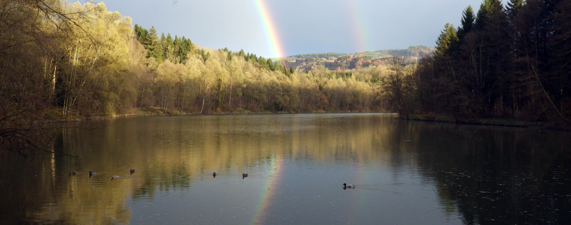 Hürdenteich