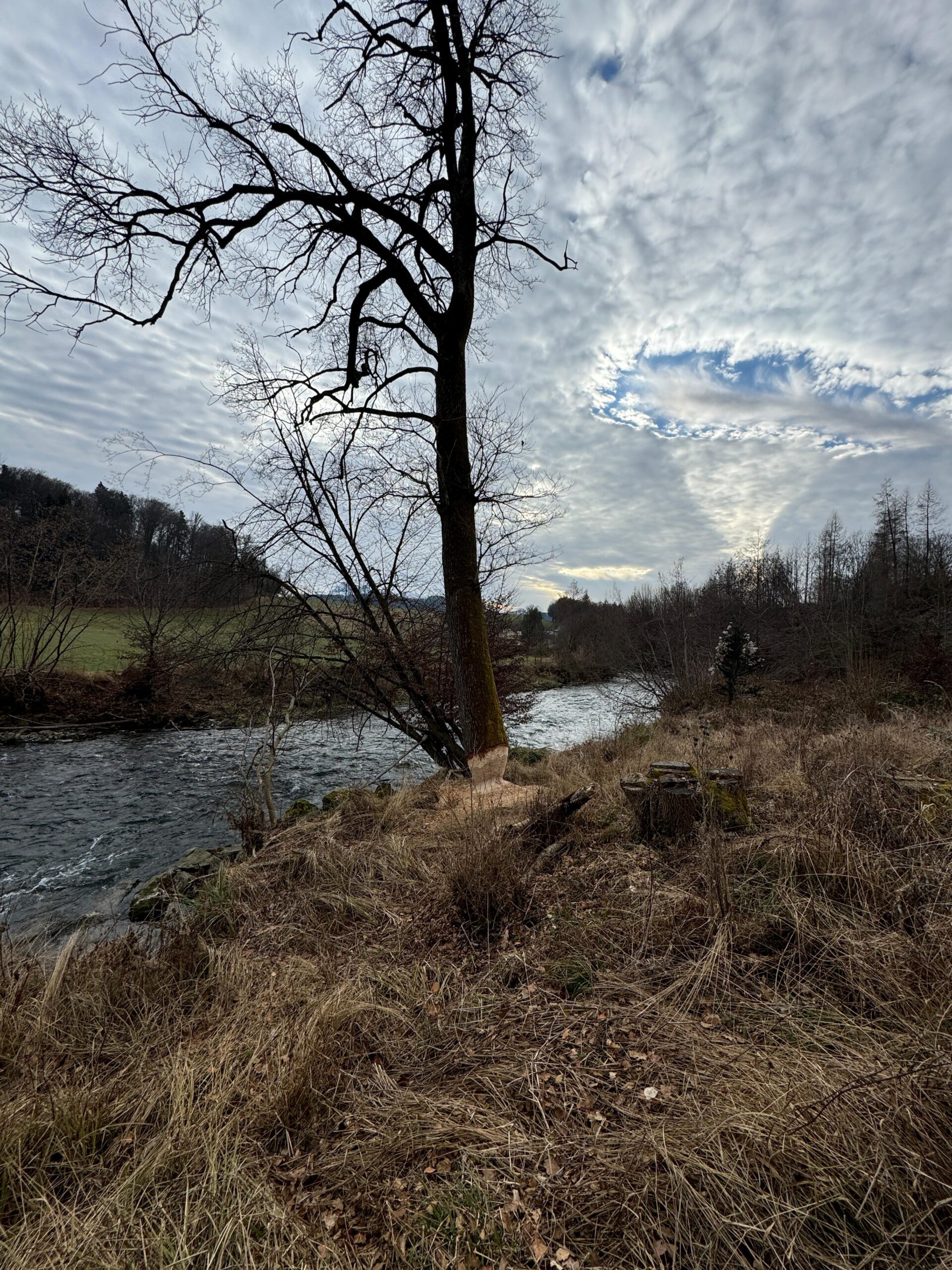 Rieselstrecke und klarer Lauf der Fischach