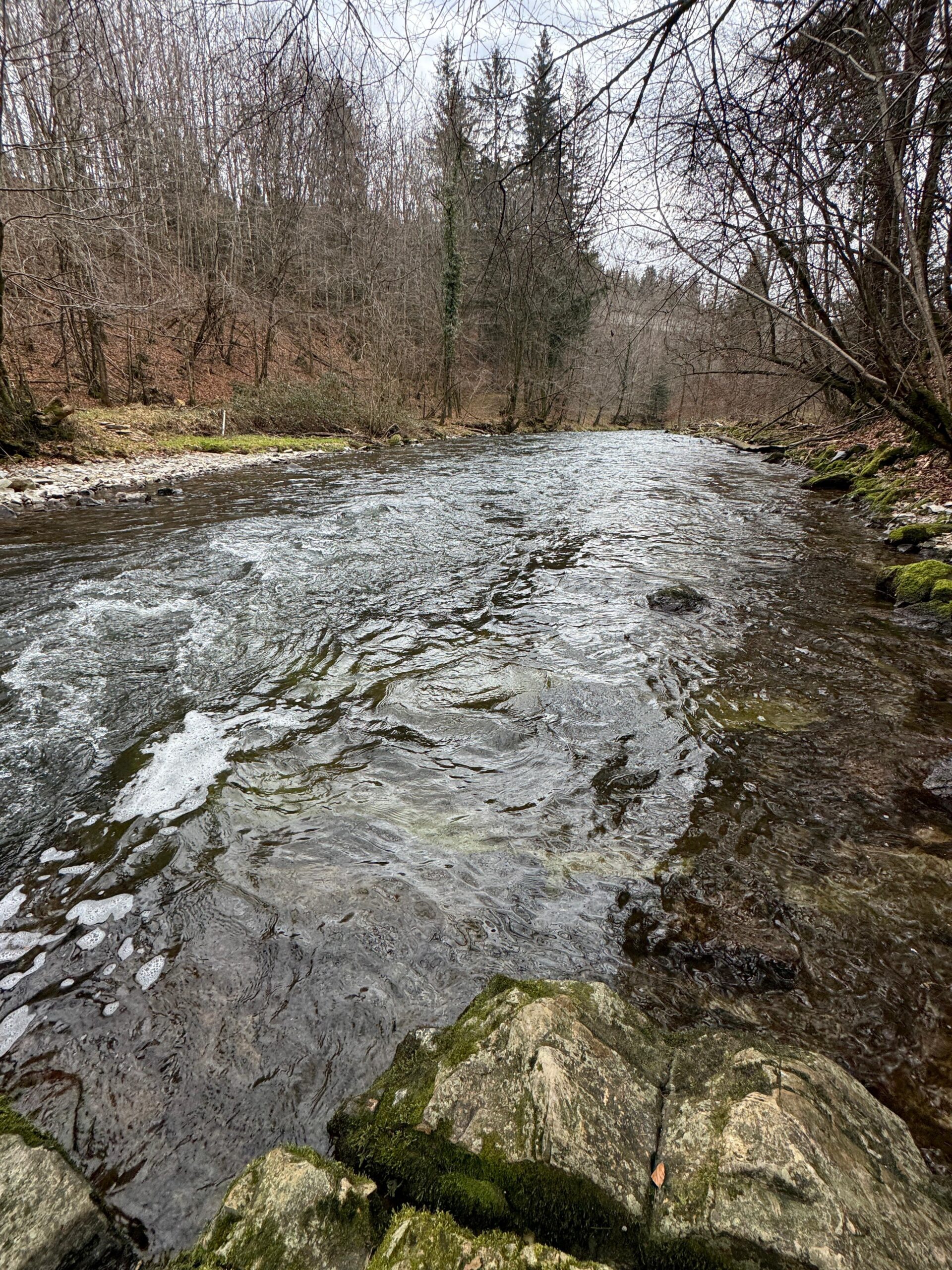 Enger Zug mit straffer Strömung in der Fischach