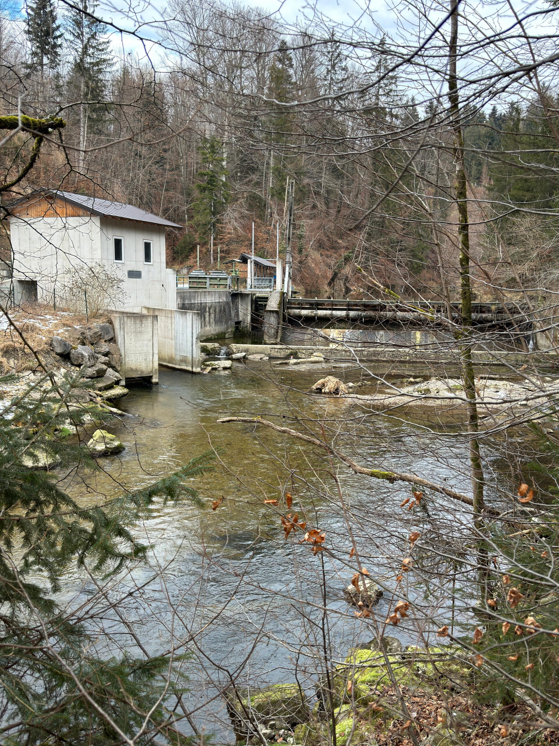 Ruhigere Gleitstrecke der Fischach mit Bachforellenstandplätzen