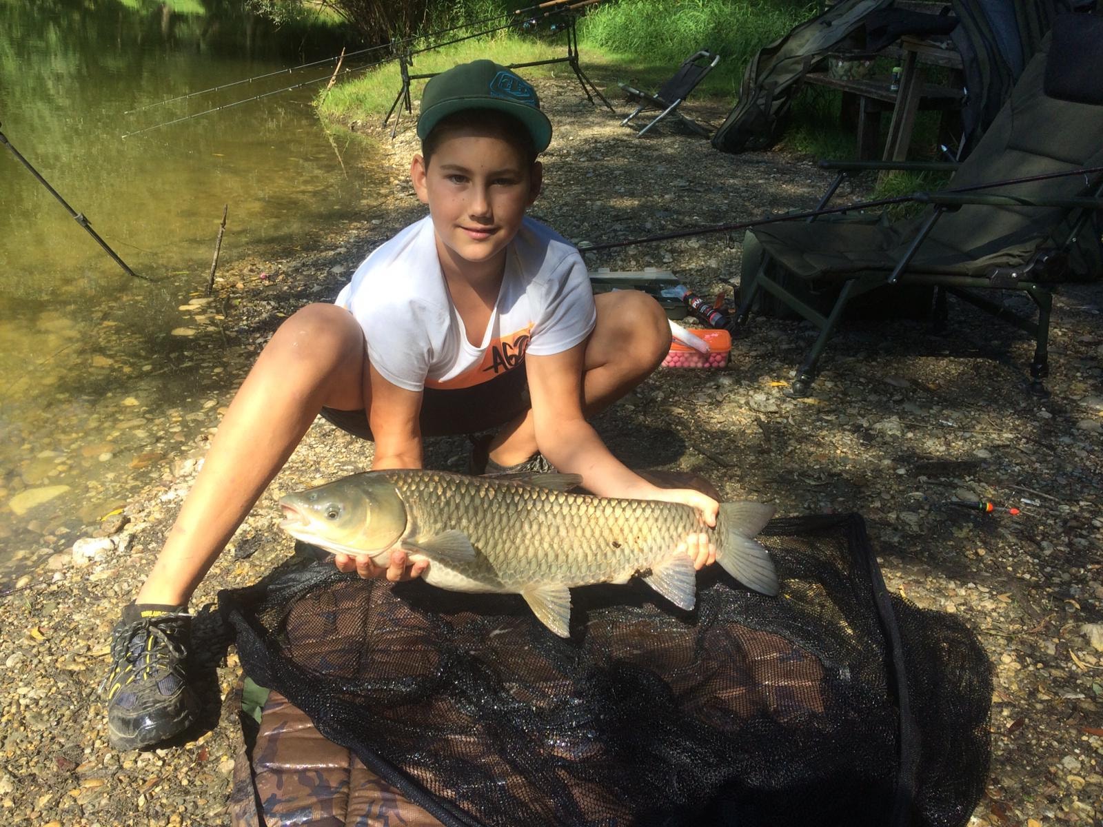 Amur/Karpfen aus dem Lebererteich