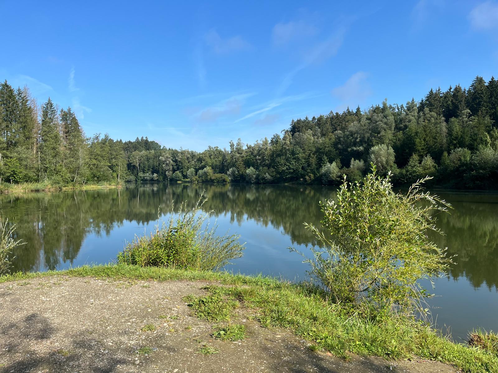 Hürdenteich – Ufer und Umgebung