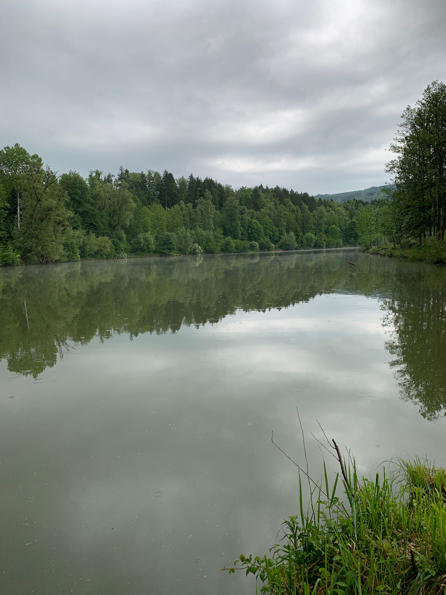 Hürdenteich – Natur rund ums Wasser