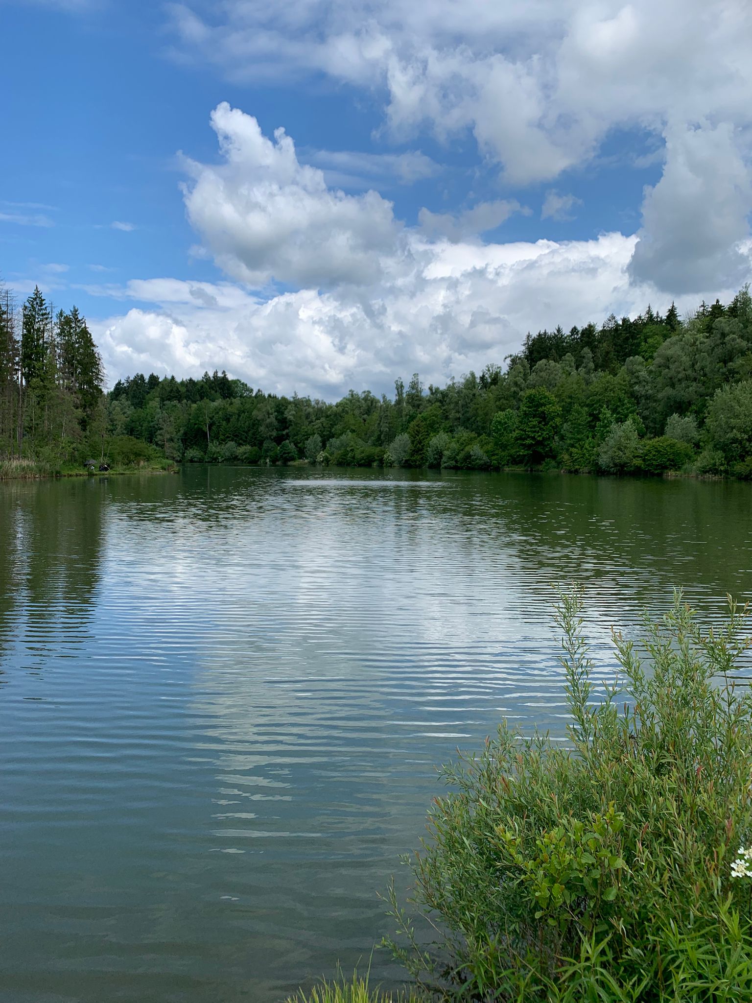 Hürdenteich – Angelplatz in ruhiger Lage