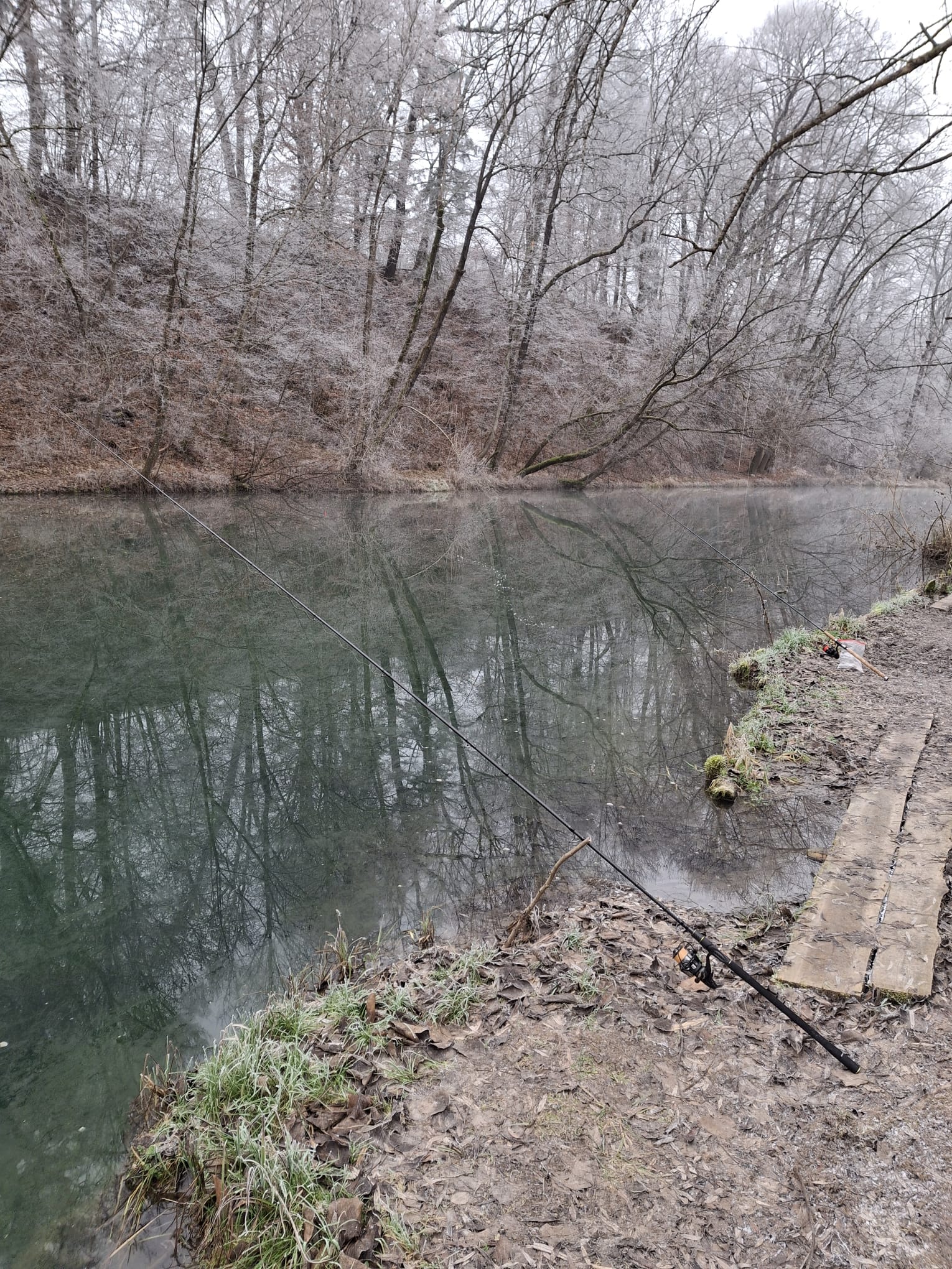 Riedersbacher Lacken – Blick über das Auenrevier