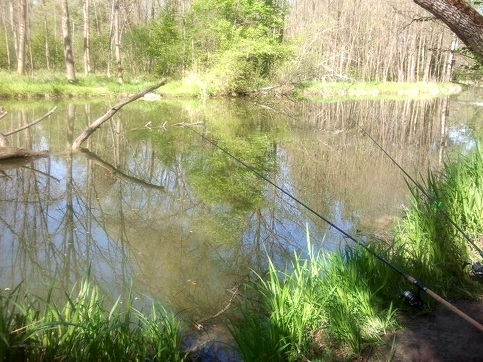 Riedersbacher Lacken – Natur in den Salzachauen