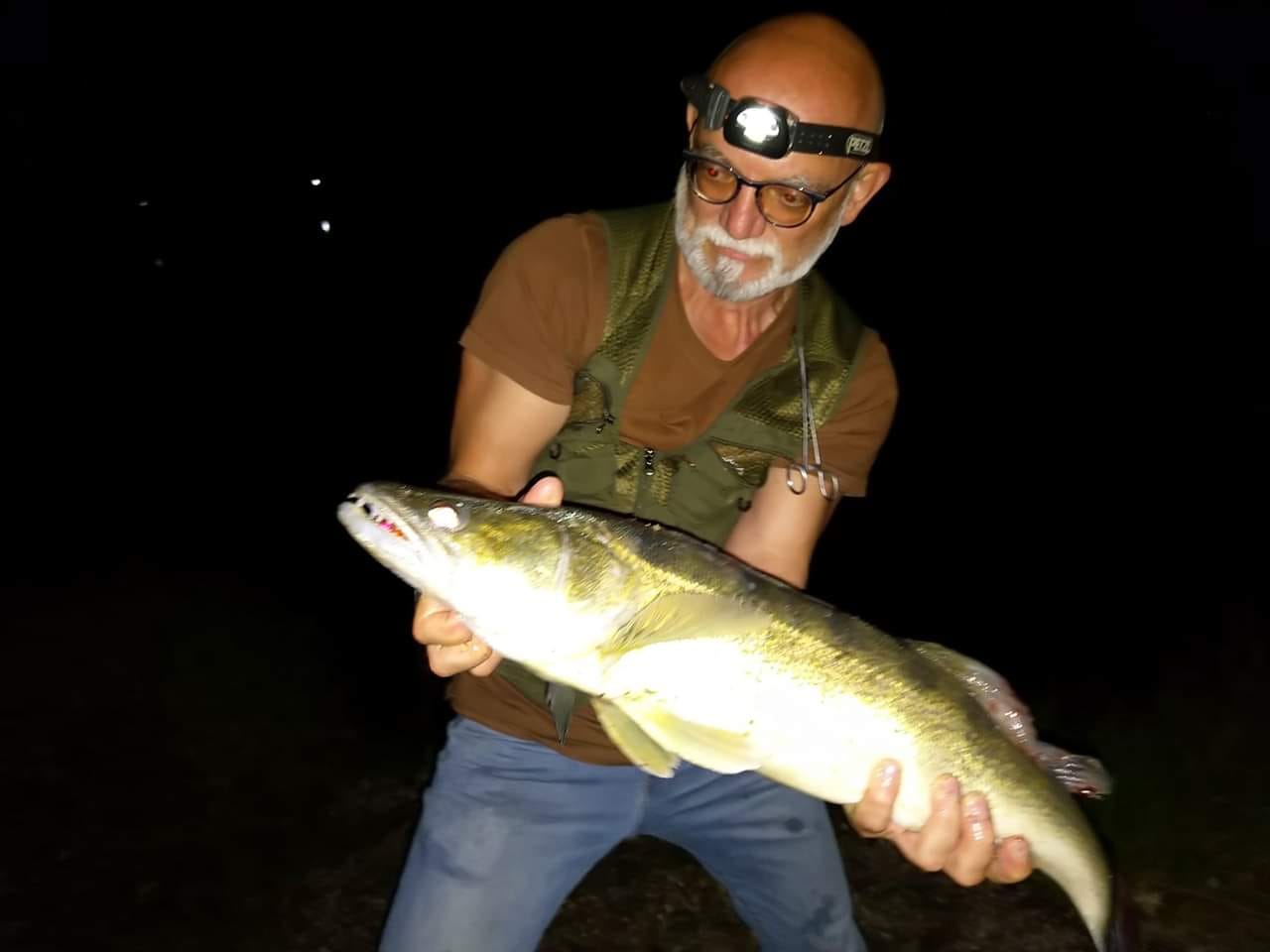 Starker Zander aus dem Lebererteich