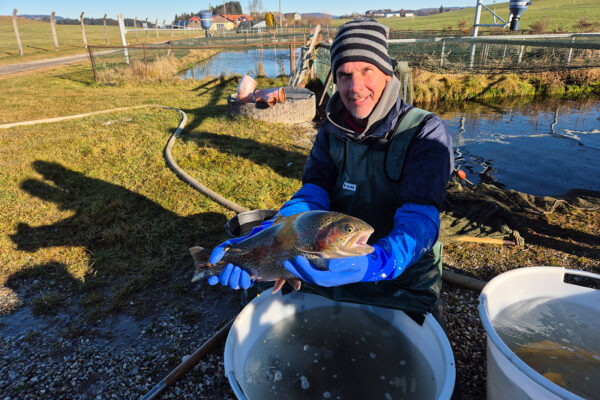 Salzburger Sportfischerei-Verein