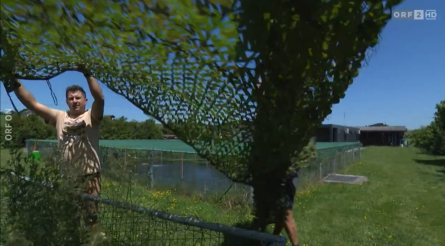 ORF-Beitrag: Projekt Schatten für unsere Fische – Bild 1