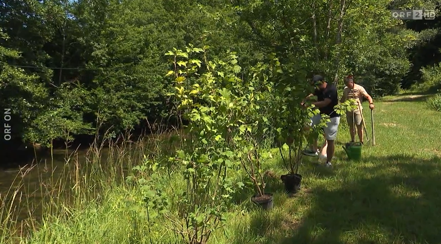 ORF-Beitrag: Projekt Schatten für unsere Fische – Bild 2