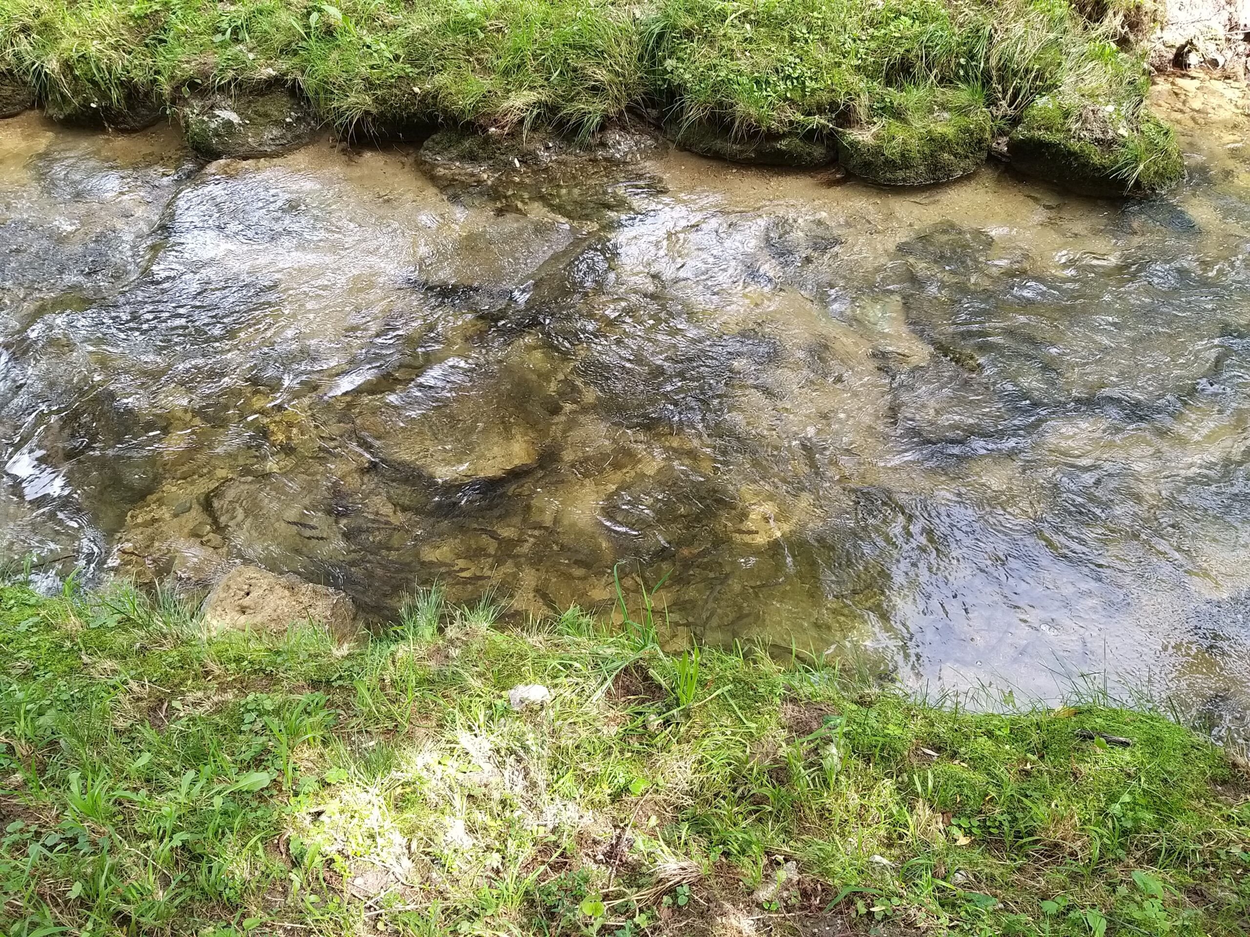 Alterbach – kiesiger Untergrund und Bachlauf