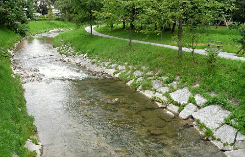 Alterbach – strukturreiche Ufer und klare Strömung