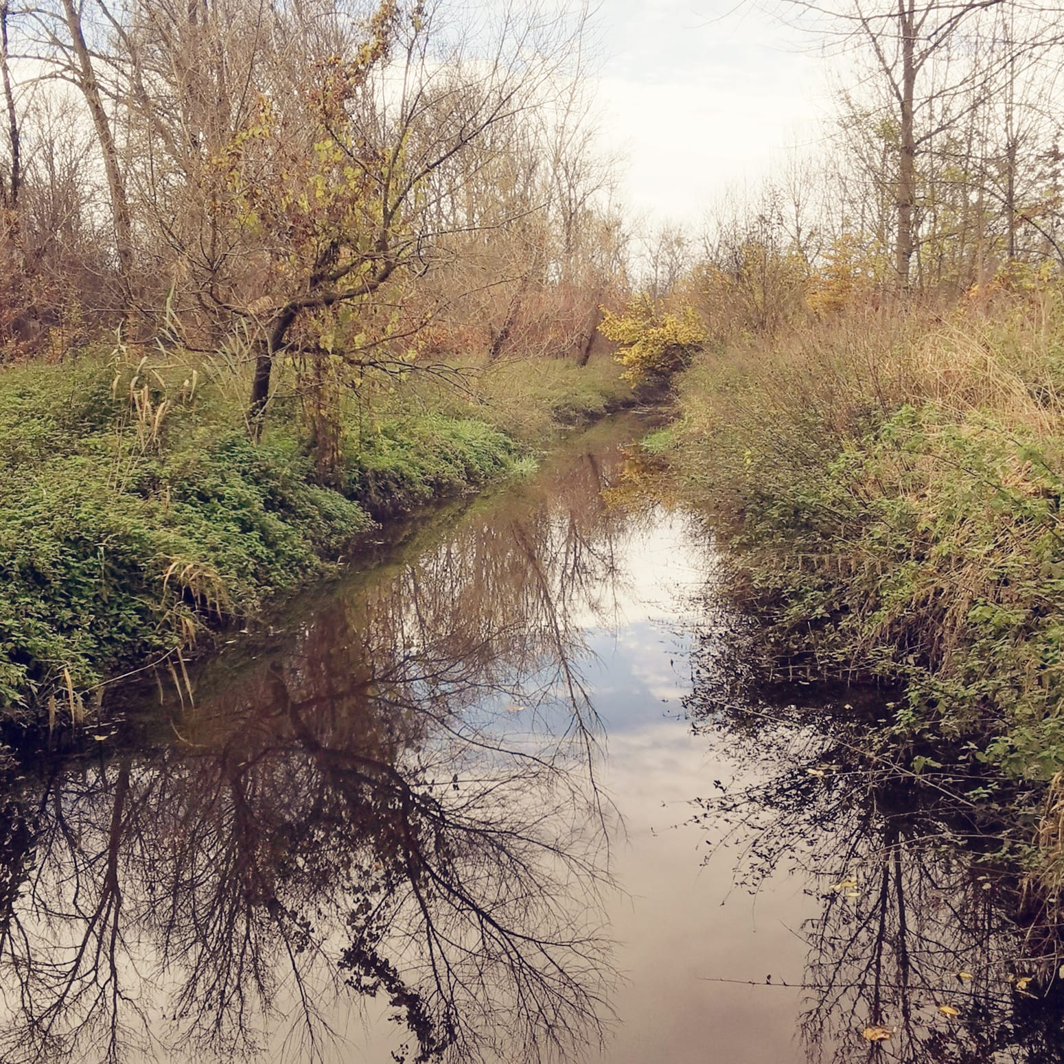 Pladenbach – schwer zu begehender Uferbereich im Unterlauf