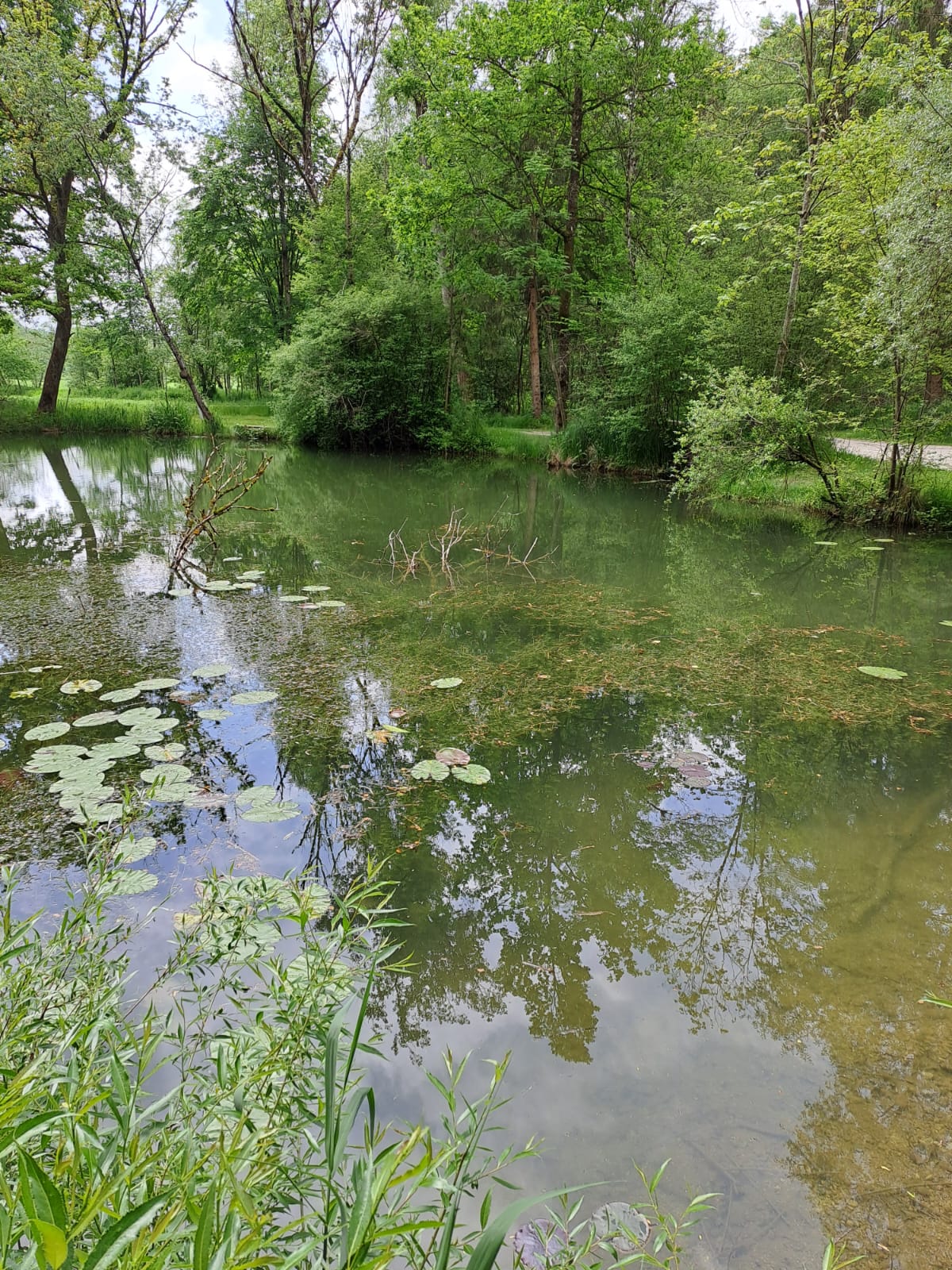 Lohirglbach – schwer zugänglicher Abschnitt