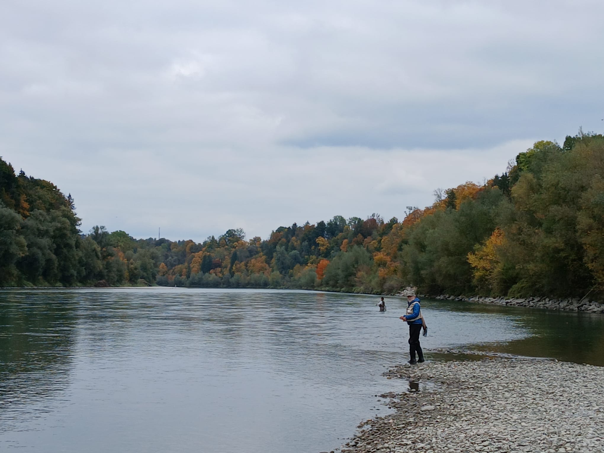 Salzach Oberösterreich – Uferbereich im SSFV-Revier